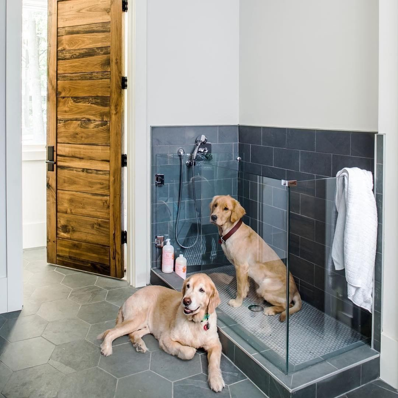 Pet Shower Enclosure Installations